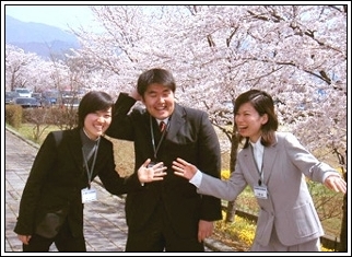 Cherry Blossoms in Parking Lot